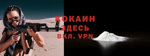 крисы Баксан