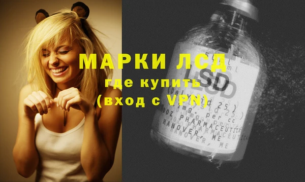 крисы Баксан