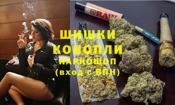 крисы Баксан