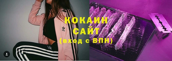 крисы Баксан